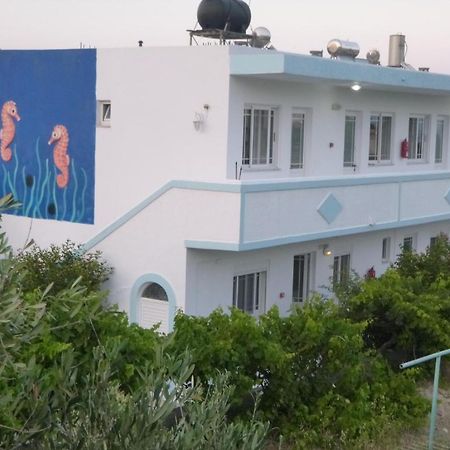 Ipokampos Apartment Kefalos  Luaran gambar
