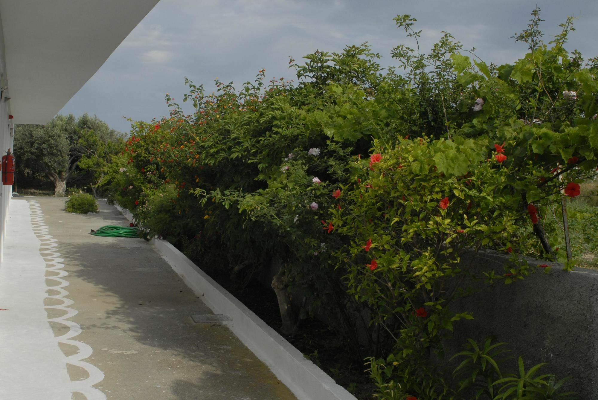 Ipokampos Apartment Kefalos  Luaran gambar